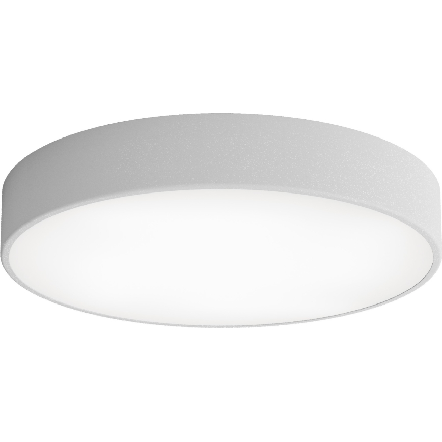 Φωτιστικό οροφής LED CLEO LED/69W/230V 4000K διάμετρος 50 cm γκρι