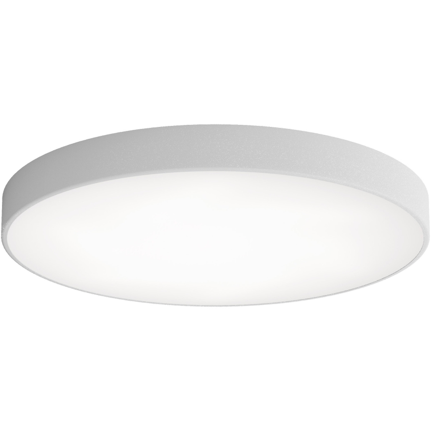 Φωτιστικό οροφής LED CLEO LED/96W/230V 4000K διάμετρος 80 cm γκρι