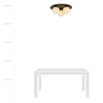 Φωτιστικό οροφής SOLAR 3xE14/10W/230V μαύρο/λευκό