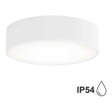 Φωτιστικό οροφής μπάνιου CLEO 2xE27/24W/230V δ. 30 cm λευκό IP54