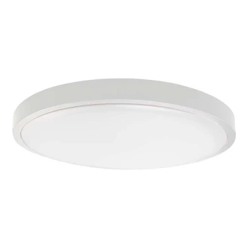 Φωτιστικό οροφής μπάνιου LED LED/24W/230V 3000K IP44 λευκό