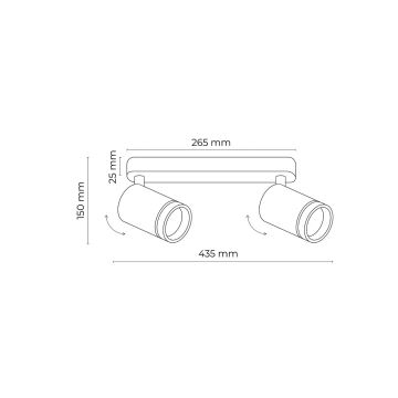 Φωτιστικό σποτ JET 2xGU10/10W/230V μαύρο