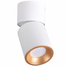 Φωτιστικό Σποτ NIXA 1xGU10/10W/230V λευκό/χρυσαφί