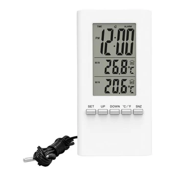 Ψηφιακό θερμόμετρο LR54
